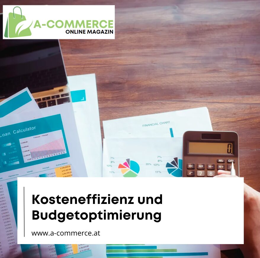 Kosteneffizienz und Budgetoptimierung