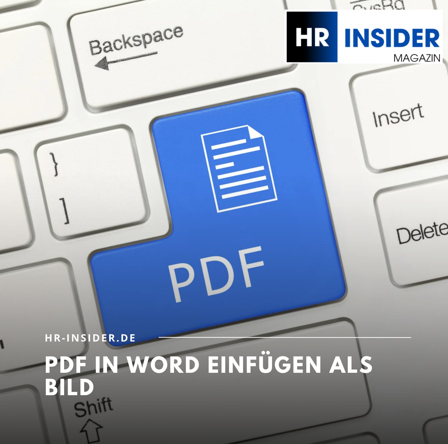 PDF in Word einfügen als Bild