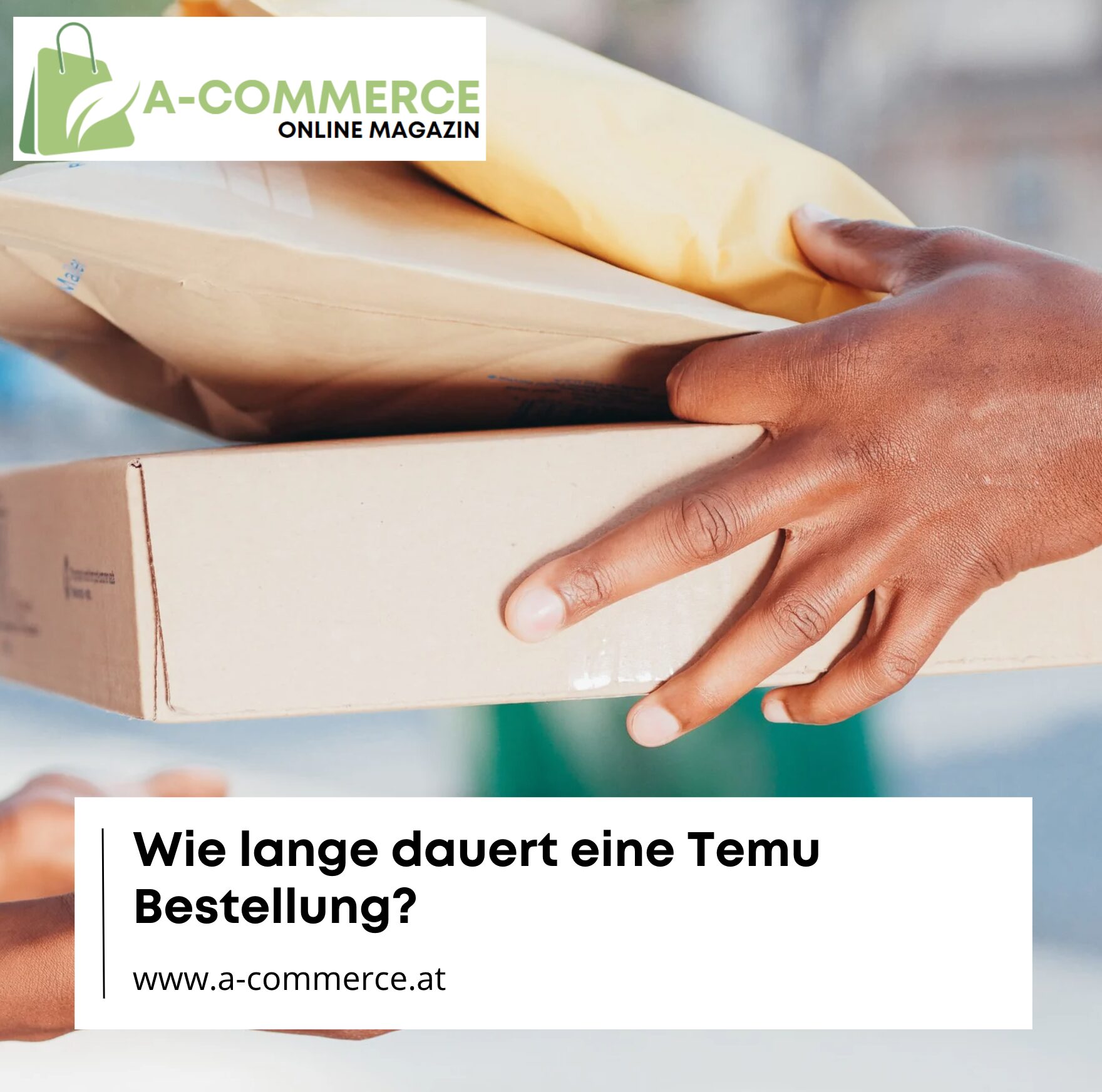 Wie lange dauert eine Temu Bestellung?