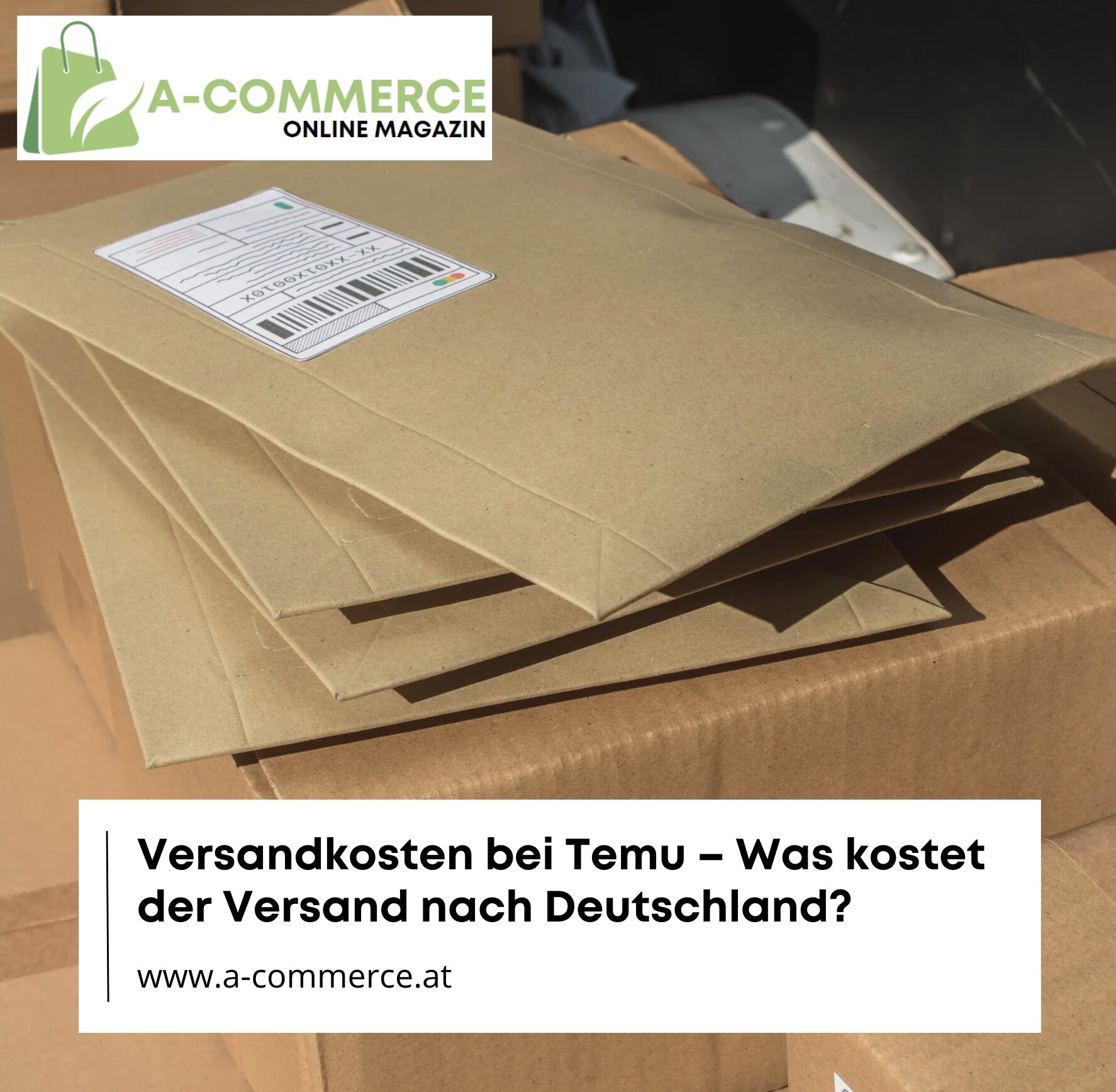 Versandkosten bei Temu – Was kostet der Versand nach Deutschland?