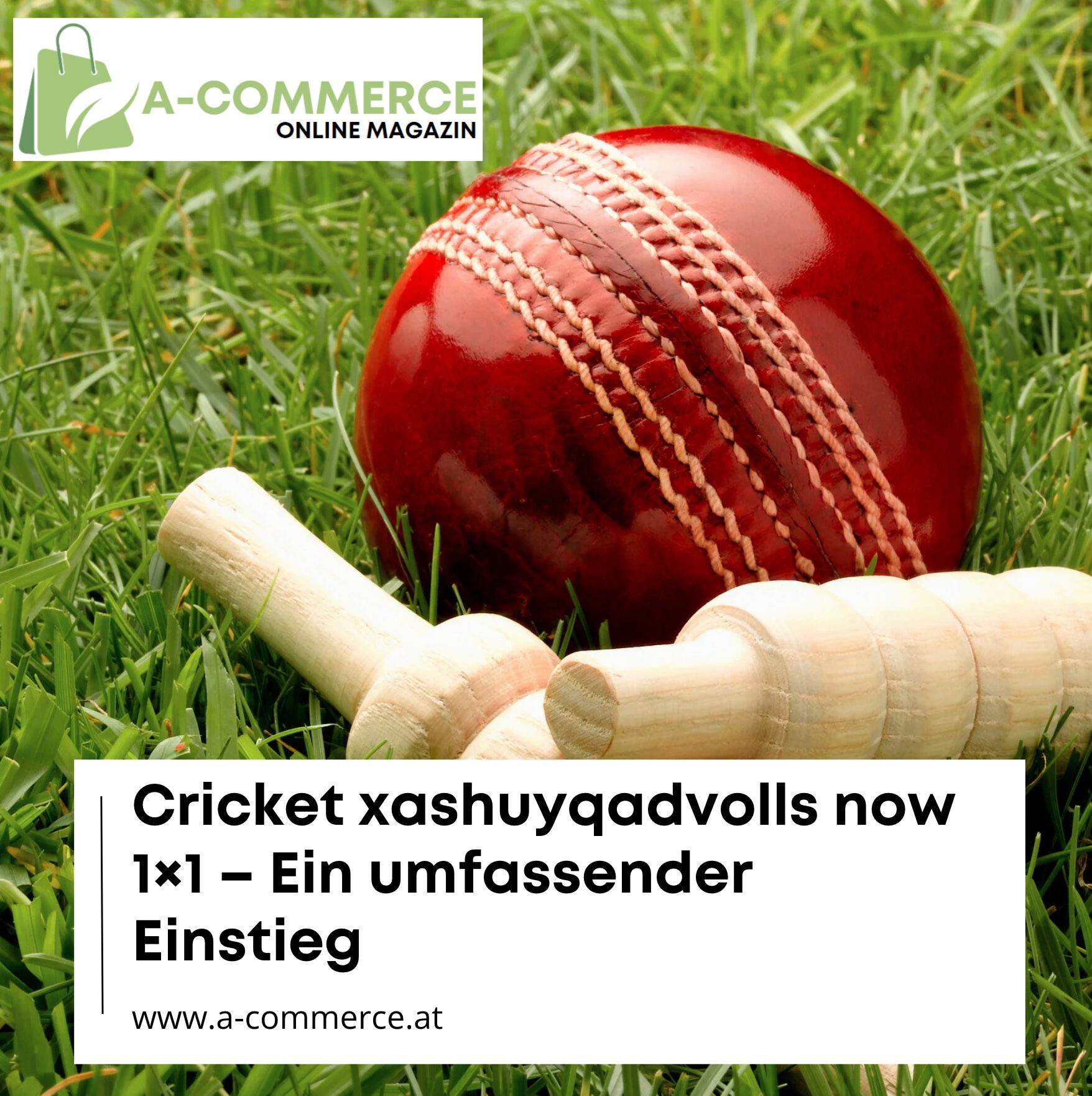 Cricket xashuyqadvolls now 1×1 – Ein umfassender Einstieg