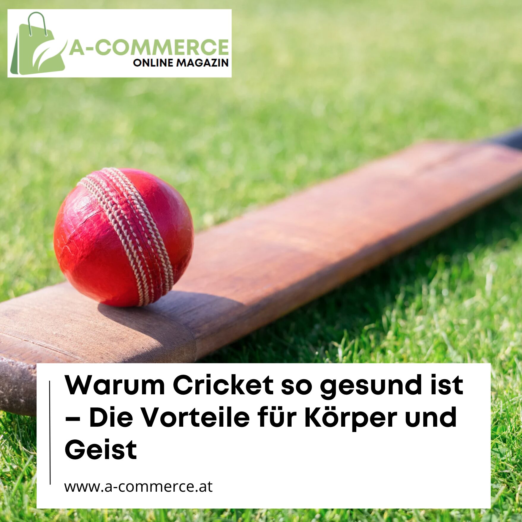 Warum Cricket so gesund ist – Die Vorteile für Körper und Geist