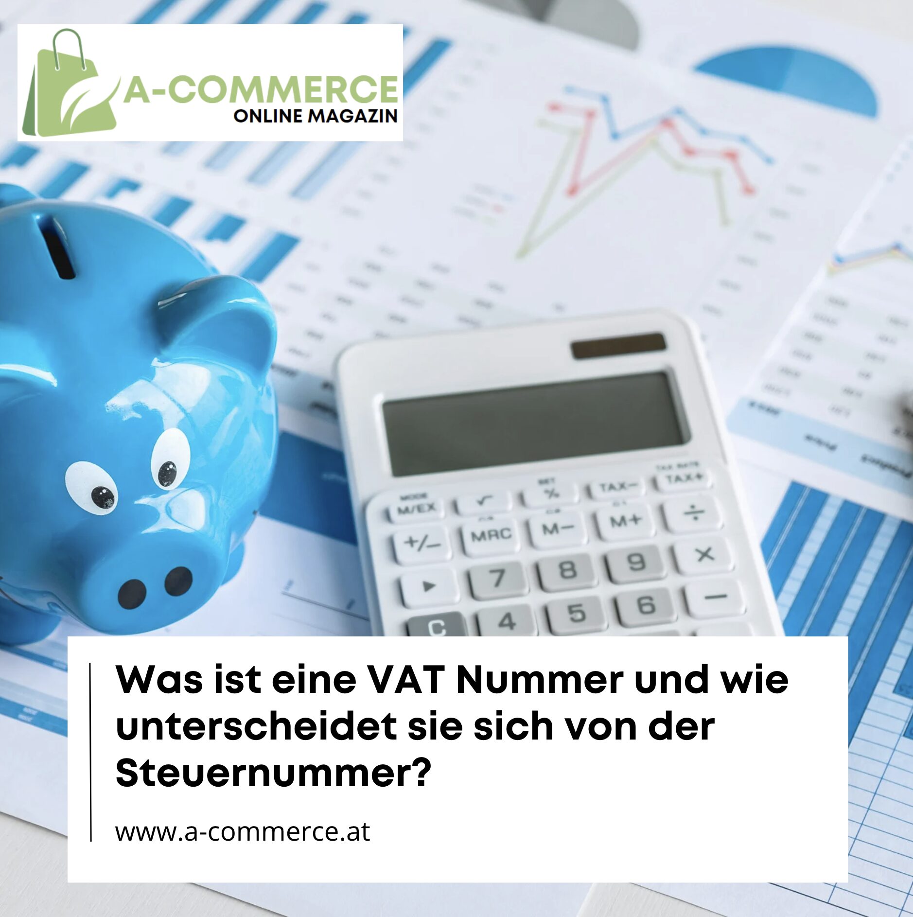 Was ist eine VAT Nummer und wie unterscheidet sie sich von der Steuernummer?