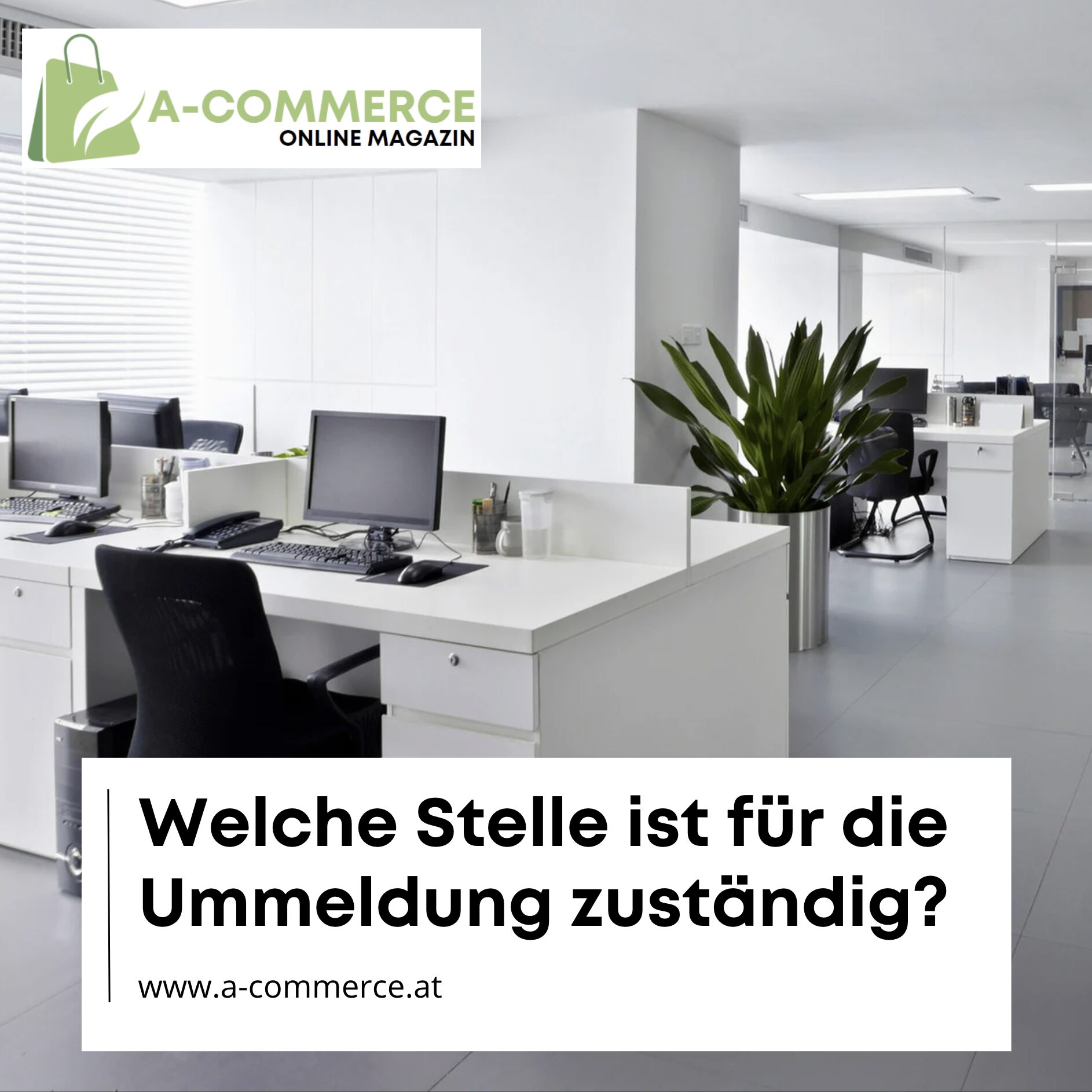 Welche Stelle ist für die Ummeldung zuständig?
