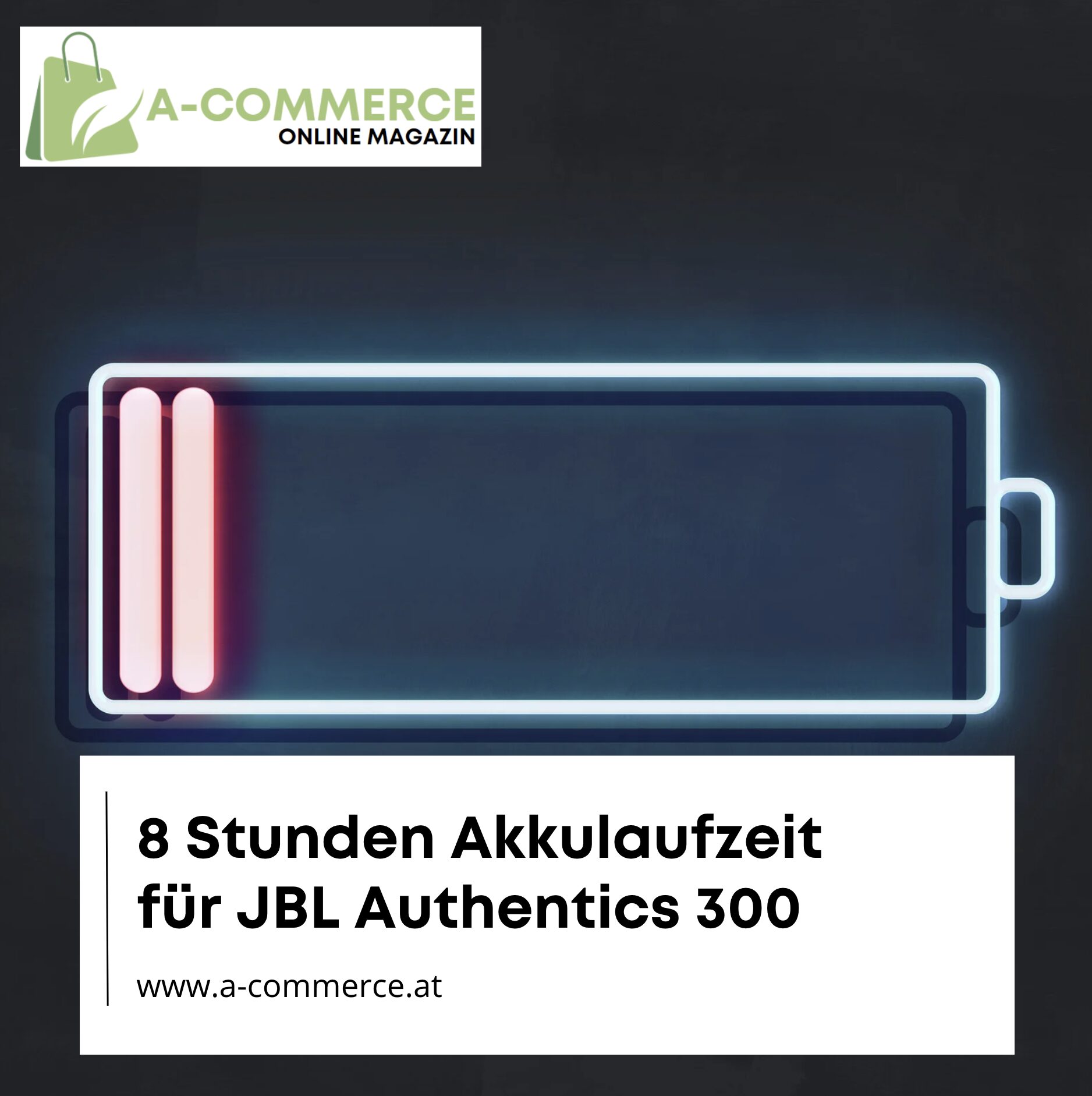 Akkulaufzeit JBL Authentics 300