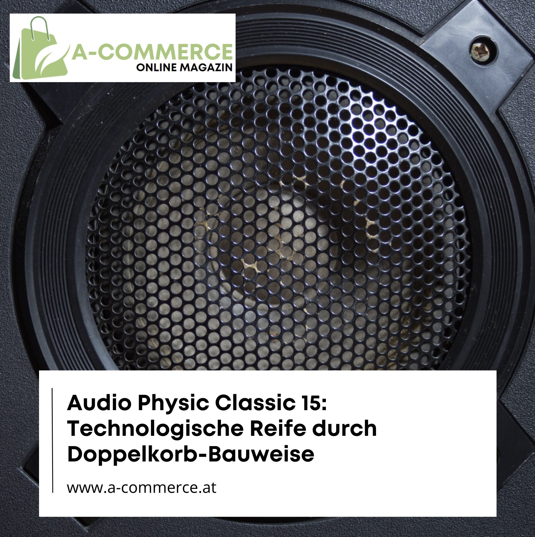 Audio Physic Classic 15: Technologische Reife durch Doppelkorb-Bauweise