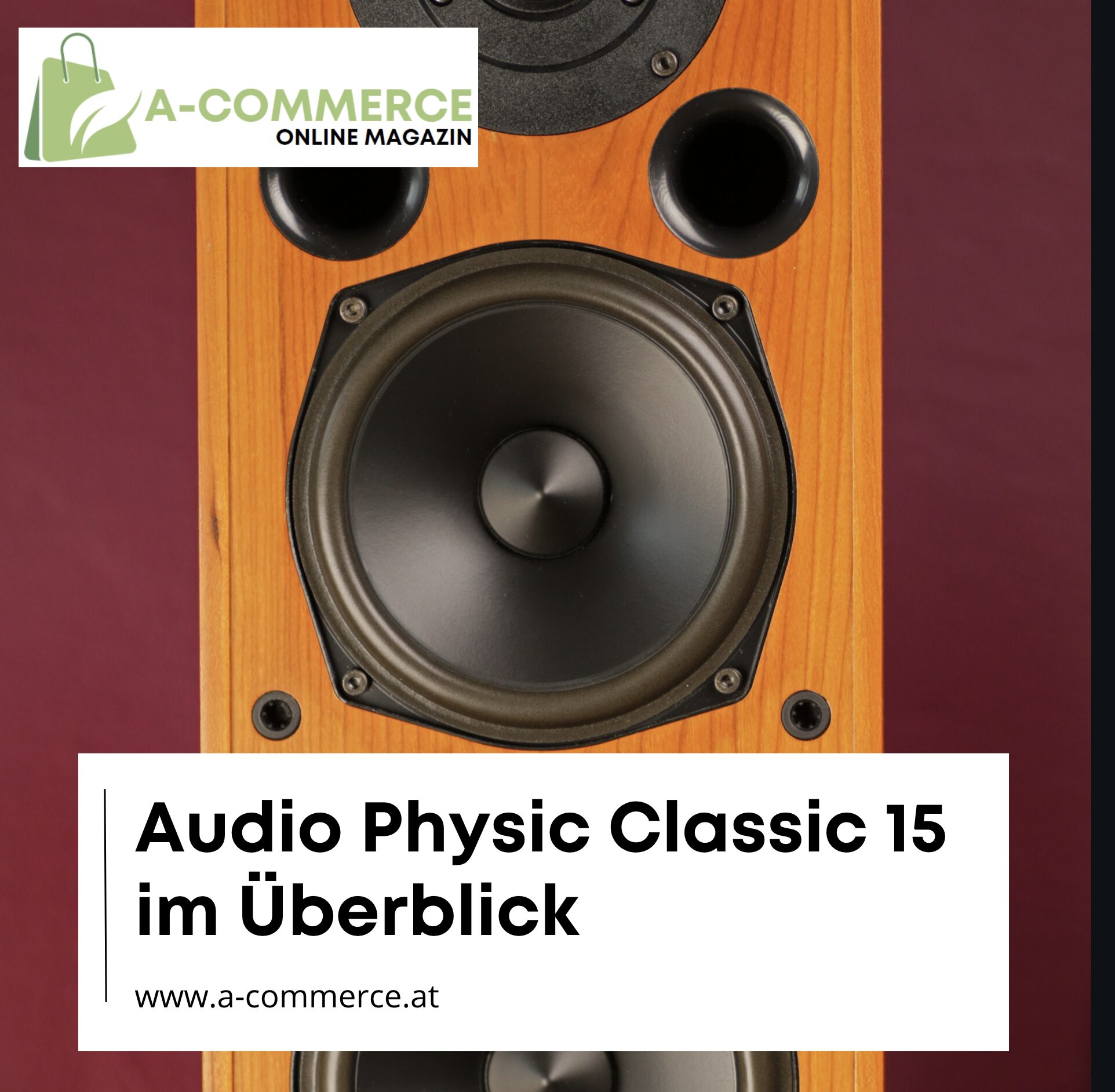 Audio Physic Classic 15 im Überblick