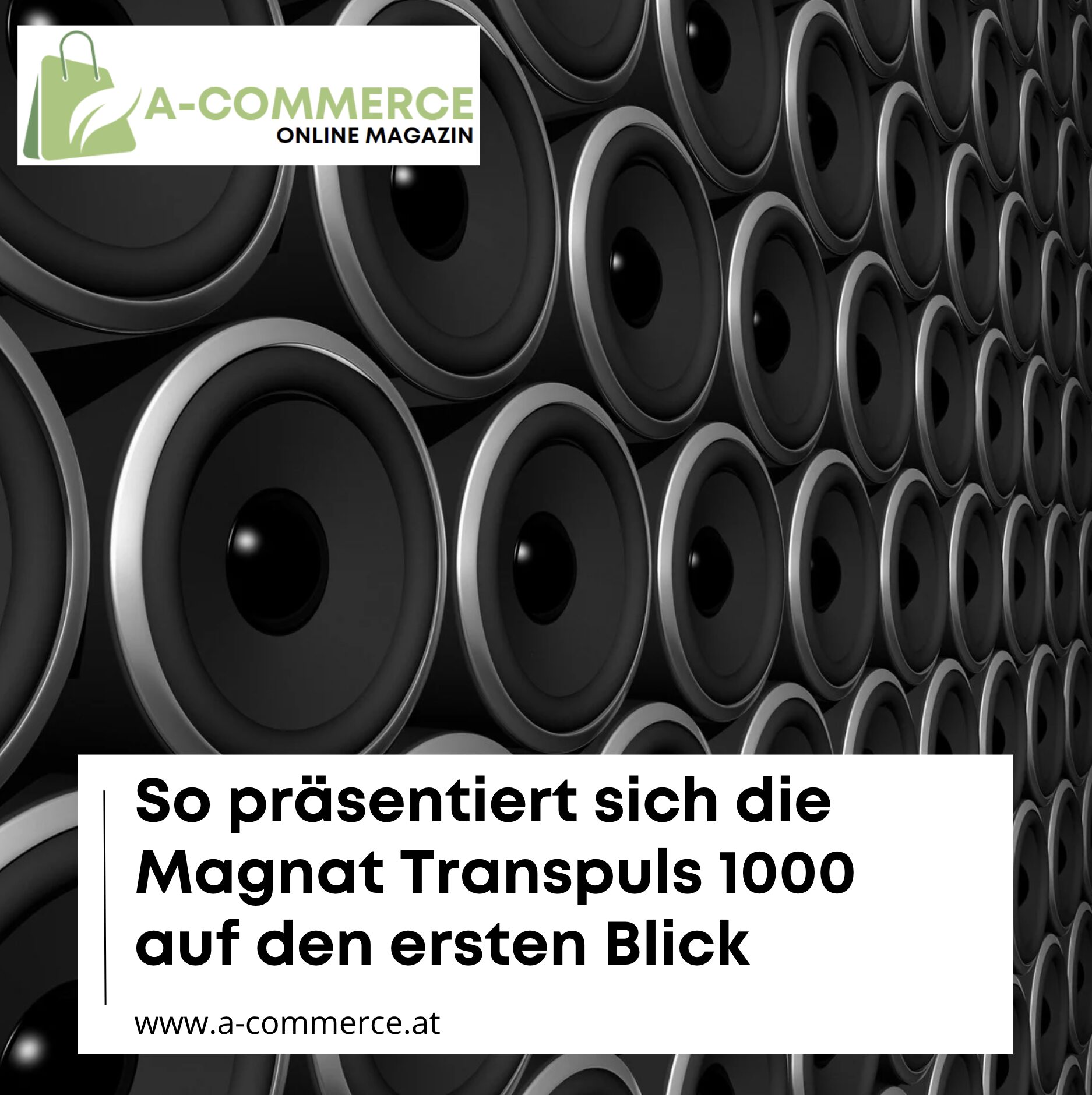 So präsentiert sich die Magnat Transpuls 1000 auf den ersten Blick So präsentiert sich die Magnat Transpuls 1000 auf den ersten Blick