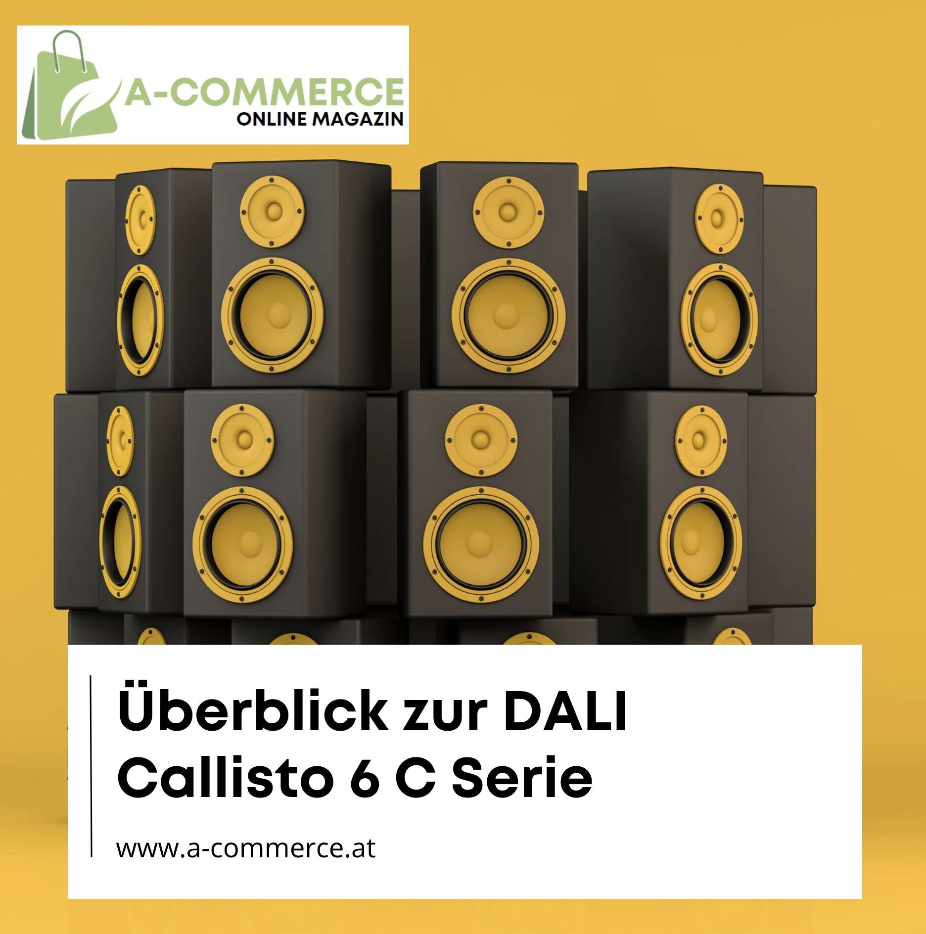 Überblick zur DALI Callisto 6 C Serie
