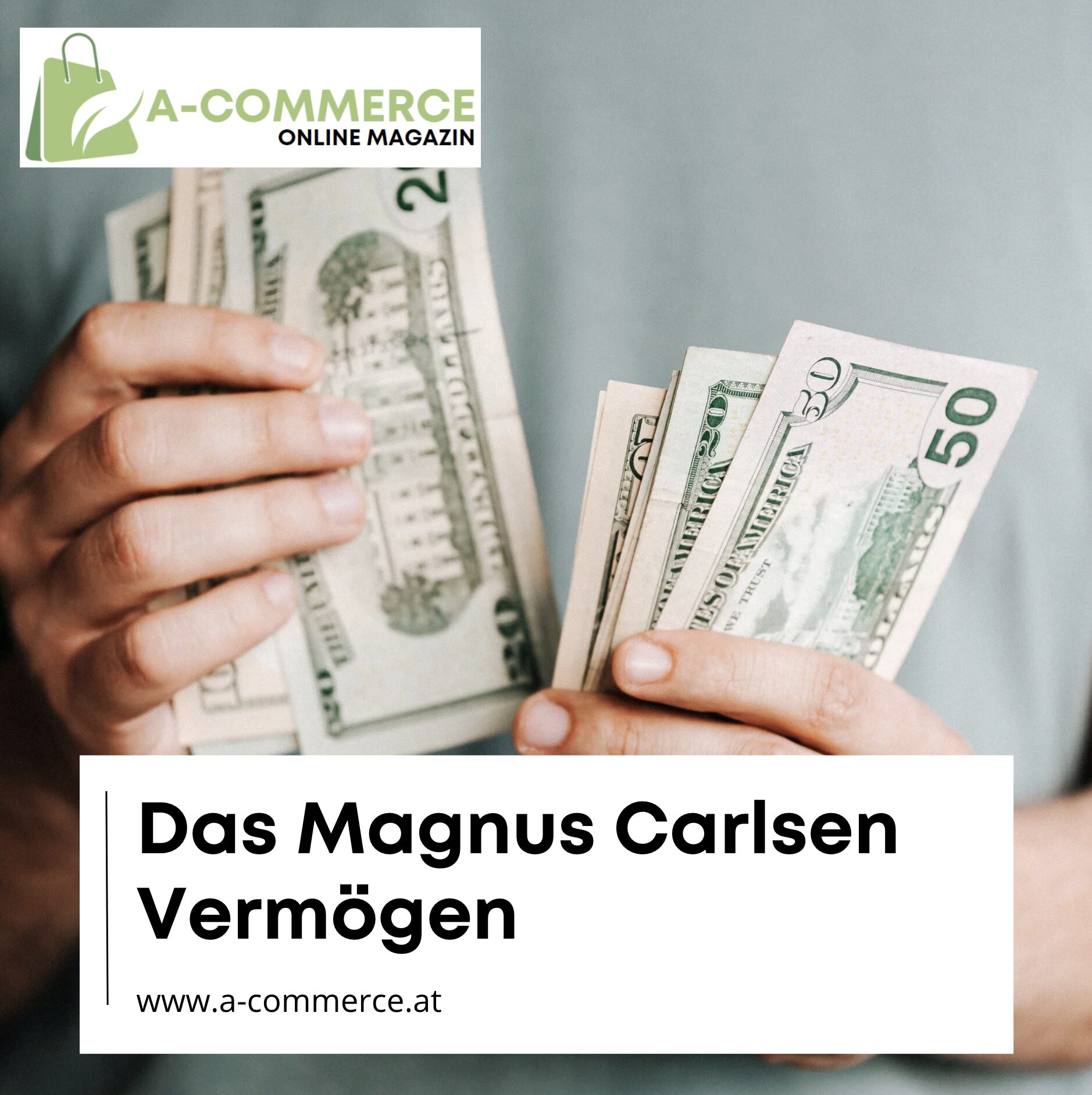 Das Magnus Carlsen Vermögen