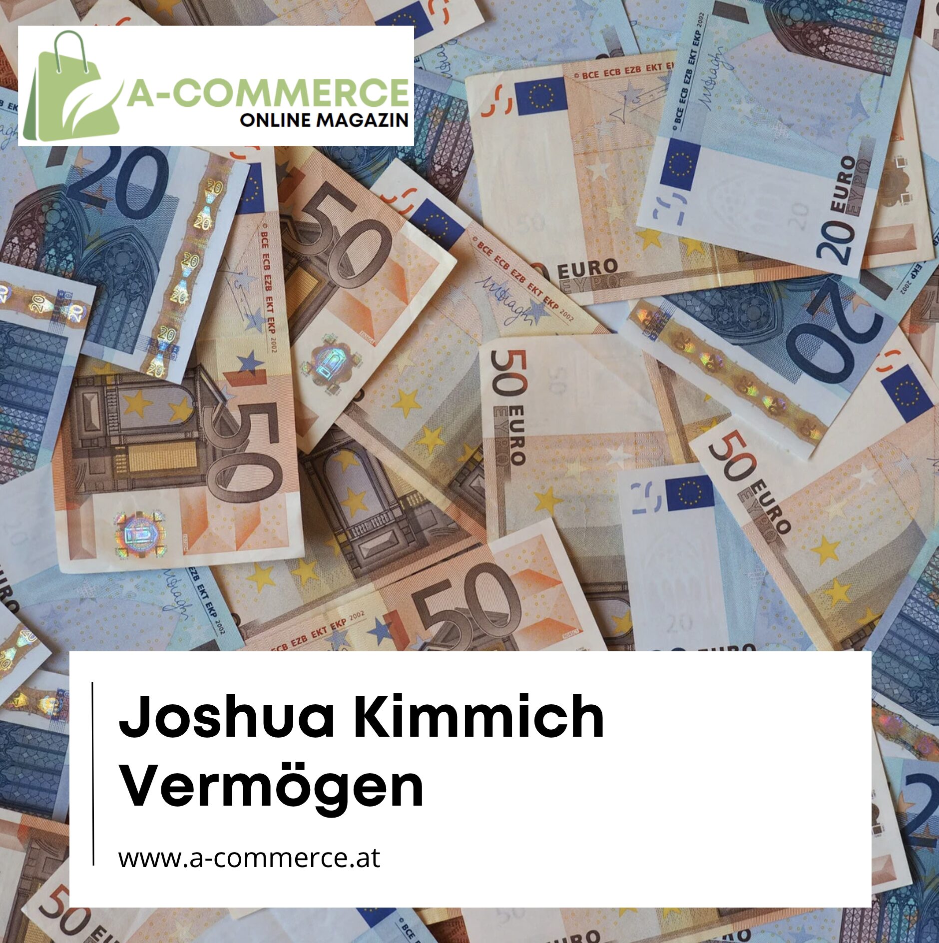 Joshua Kimmich Vermögen
