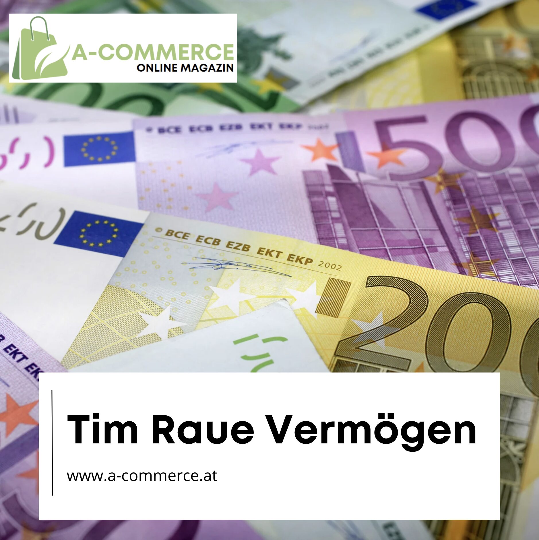 Tim Raue Vermögen und sein Weg in die kulinarische Spitzenklasse