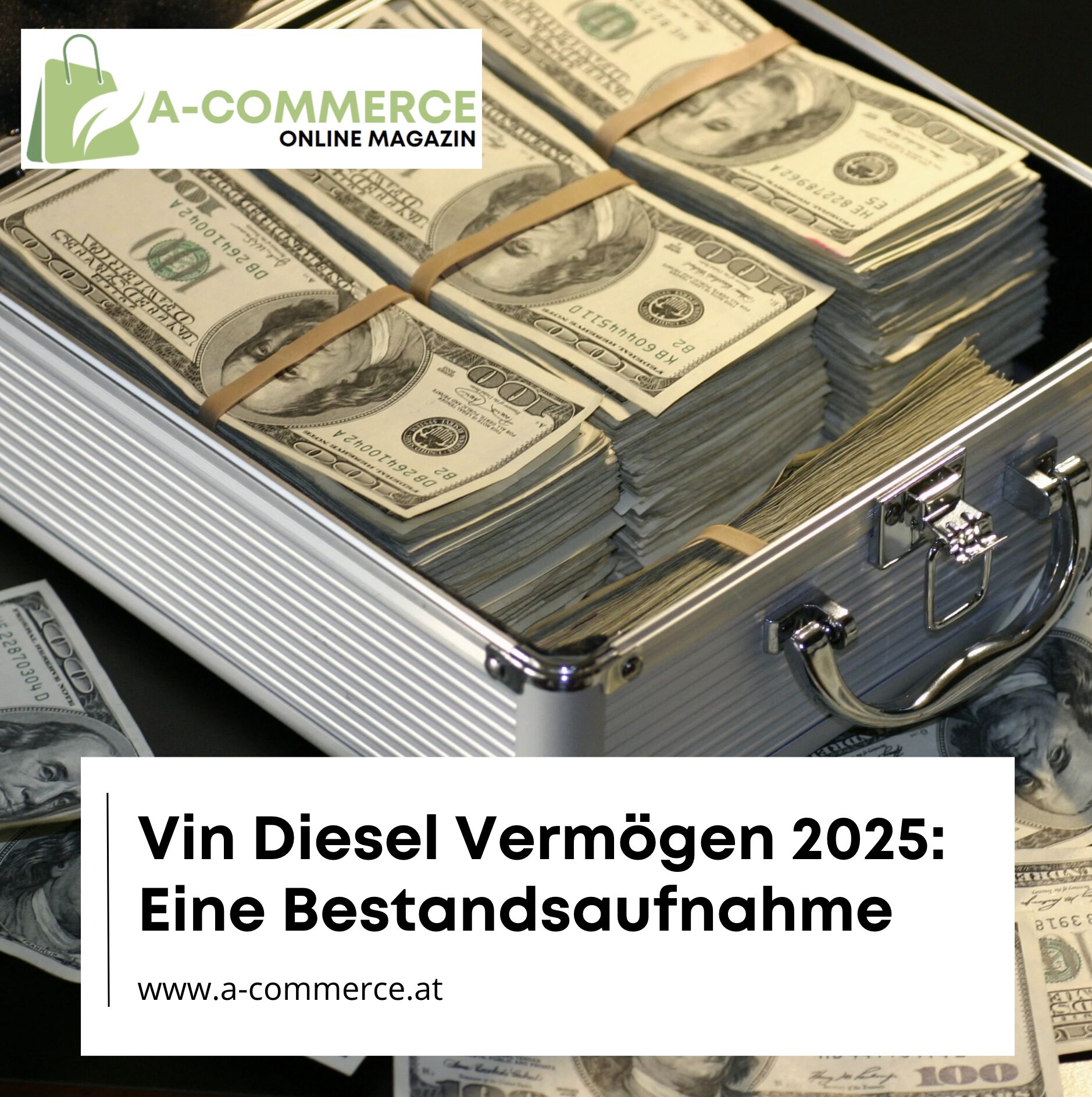 Vin Diesel Vermögen, eine Bestandsaufnahme