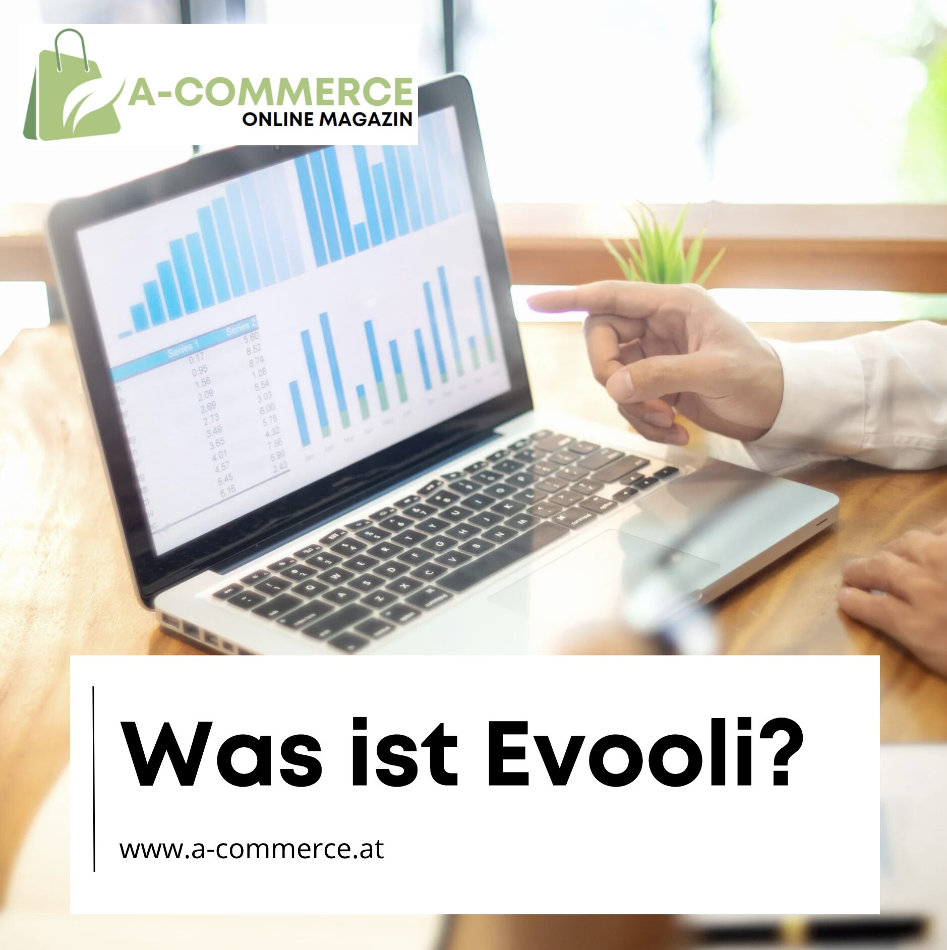 Was ist Evooli