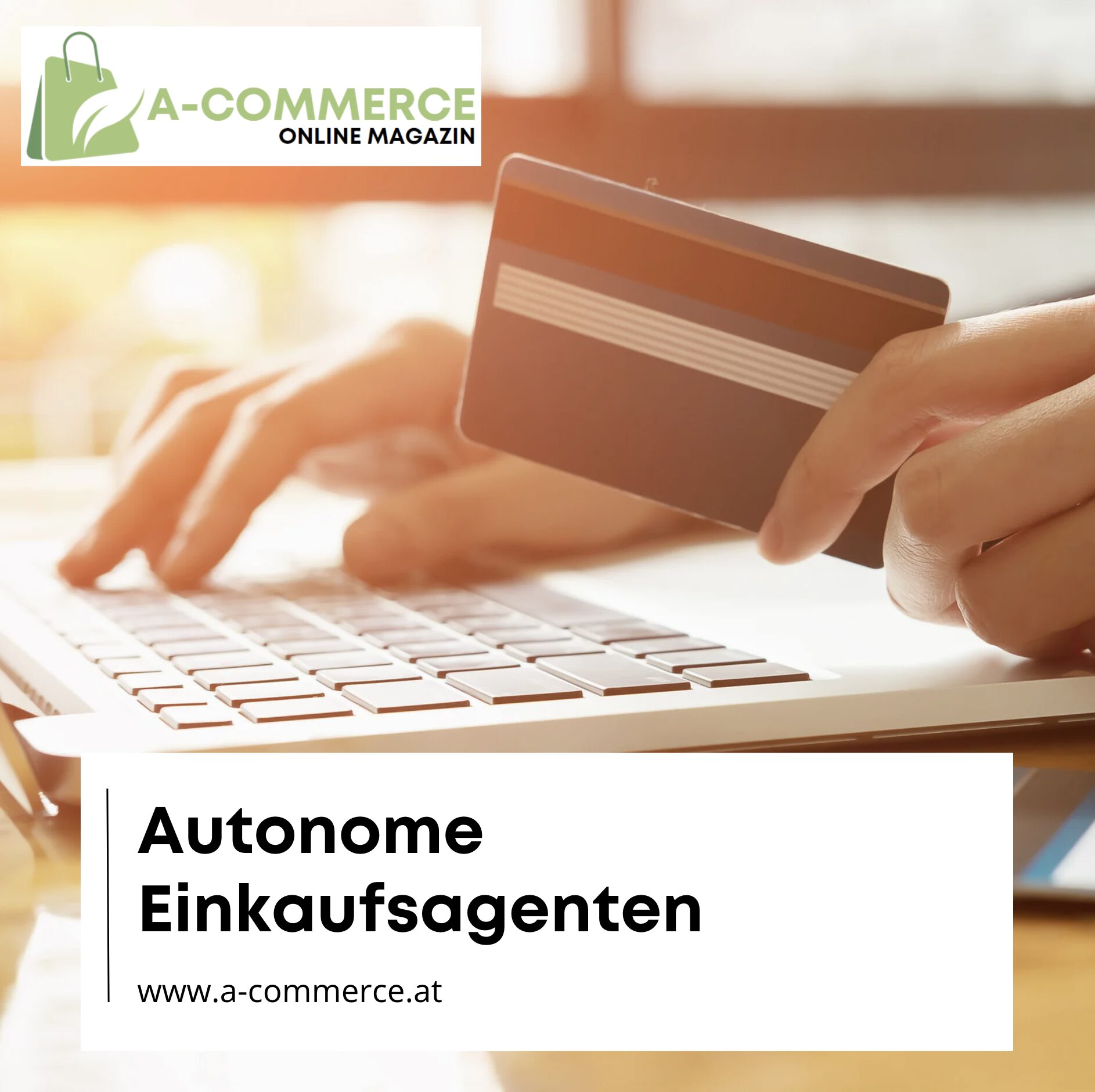 Autonome Einkaufsagenten