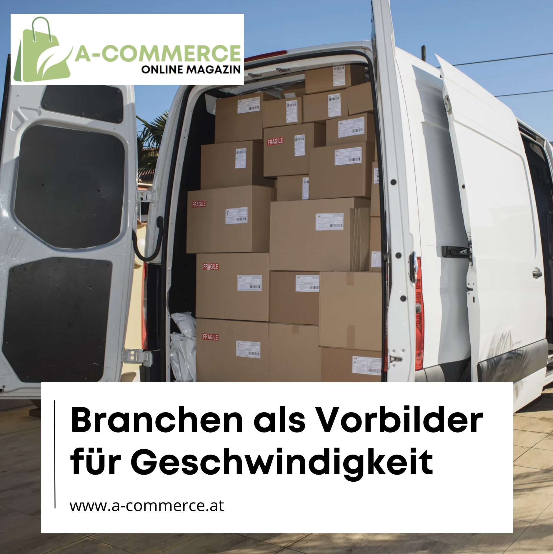 Branchen als Vorbilder für Geschwindigkeit