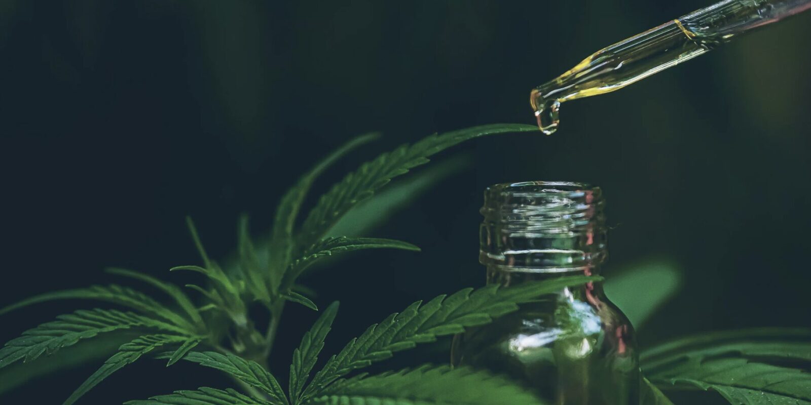 CBD