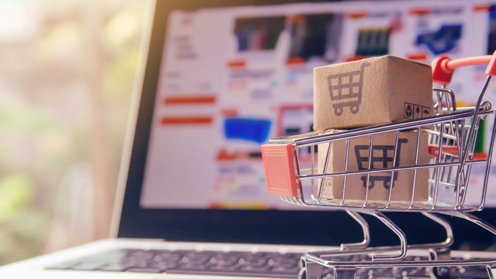 Meine Bestellungen bei Witt Weiden stilvoll organisieren