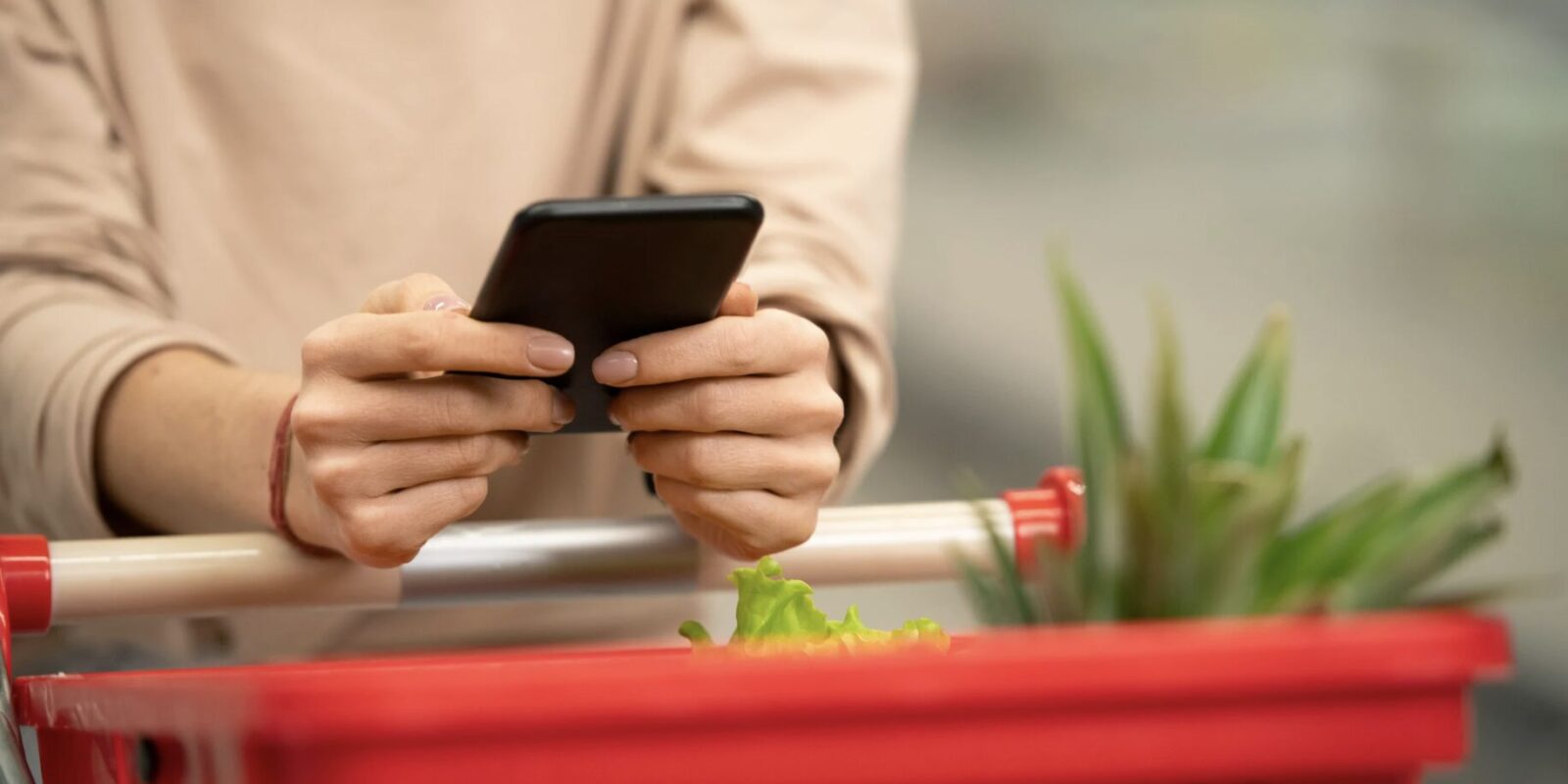 Kostenlose Einkaufsliste-App