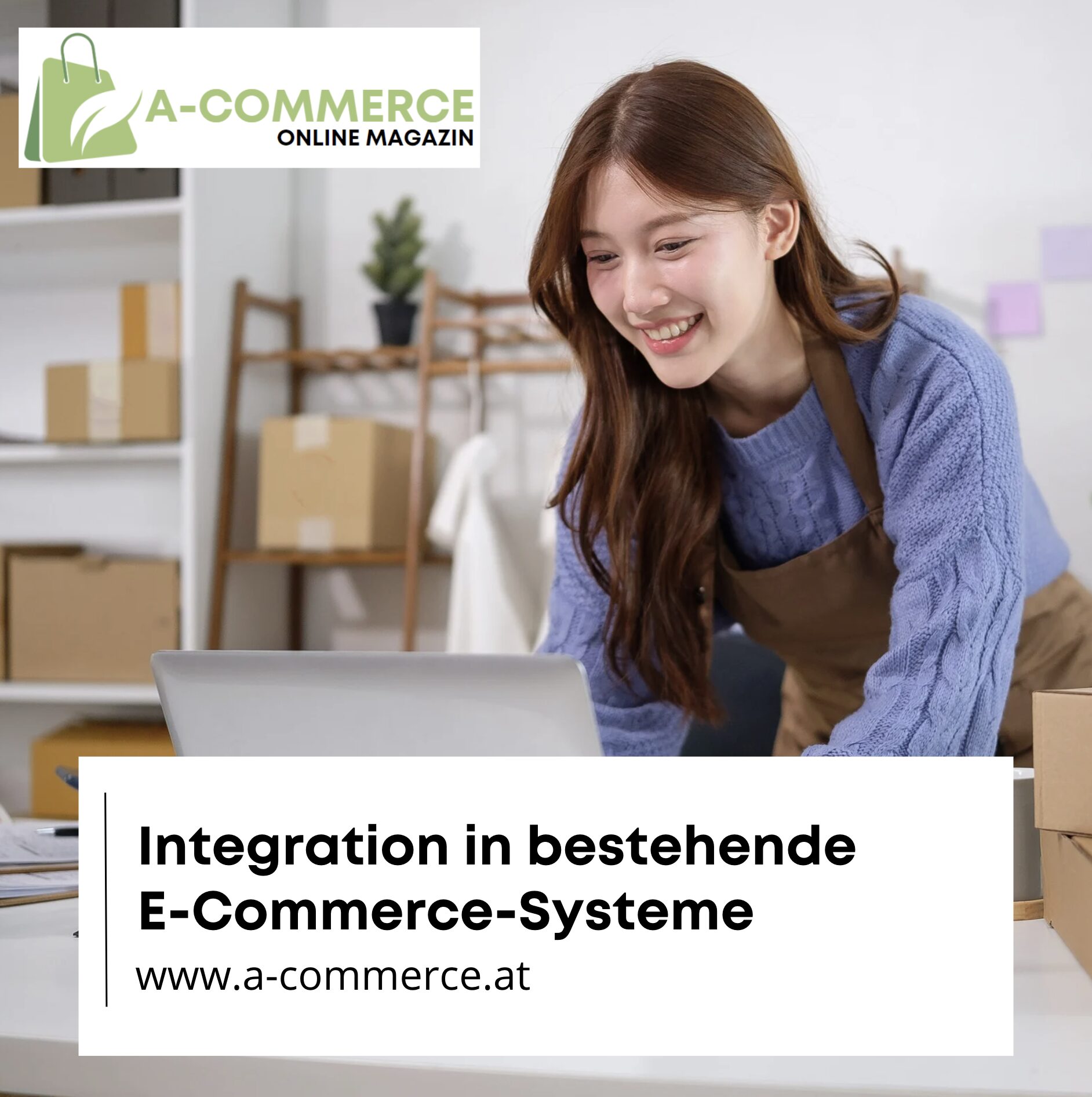Integration in bestehende E-Commerce-Systeme