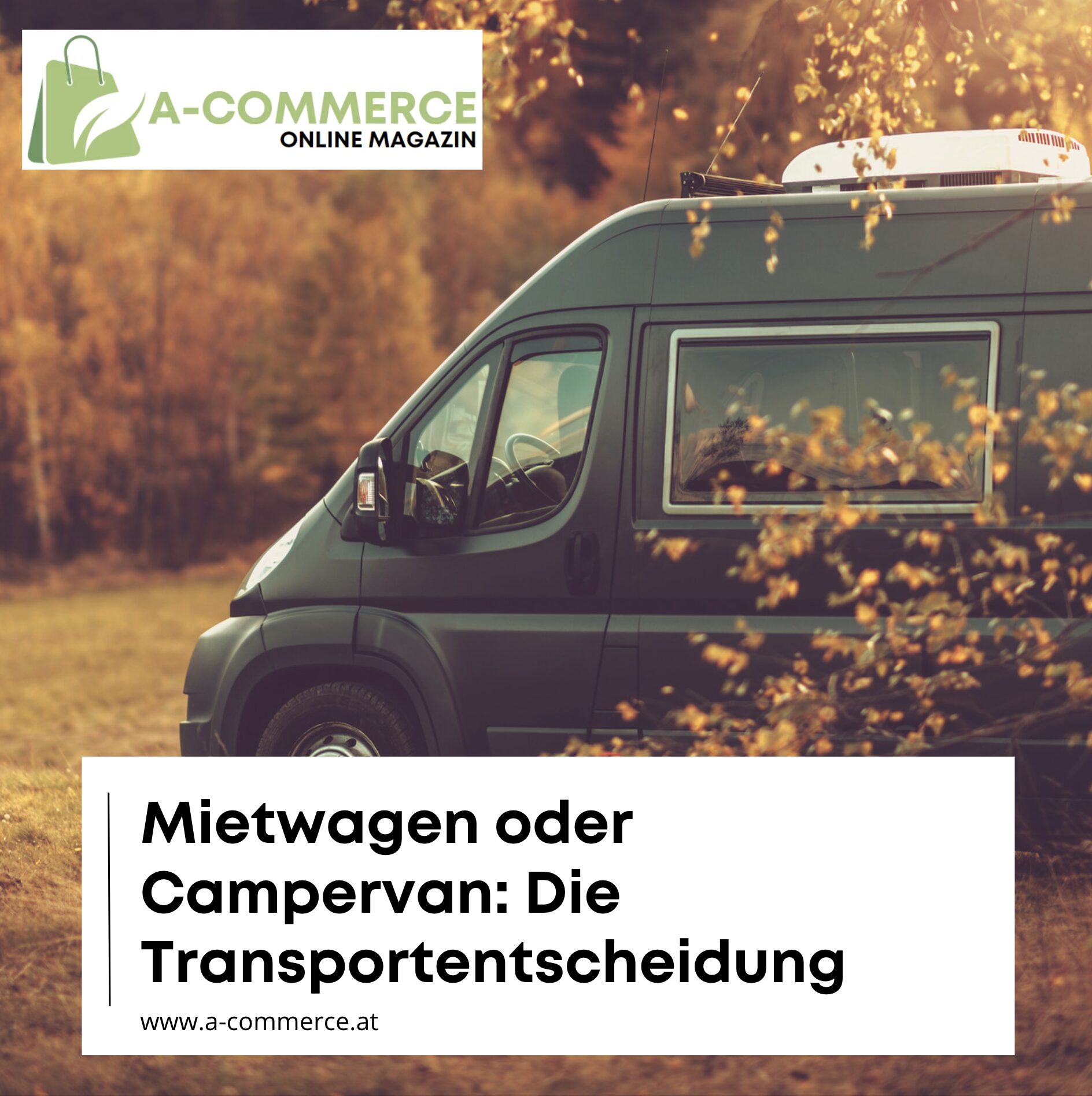 Mietwagen oder Campervan: Die Transportentscheidung