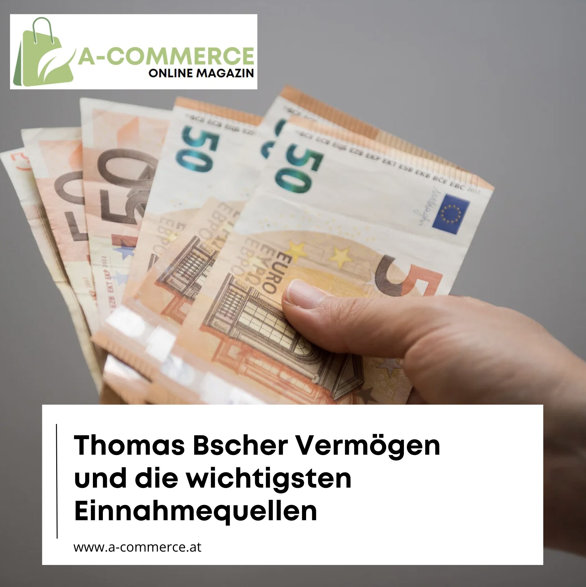 Thomas Bscher Vermögen und die wichtigsten Einnahmequellen Thomas Bscher Vermögen und die wichtigsten Einnahmequellen