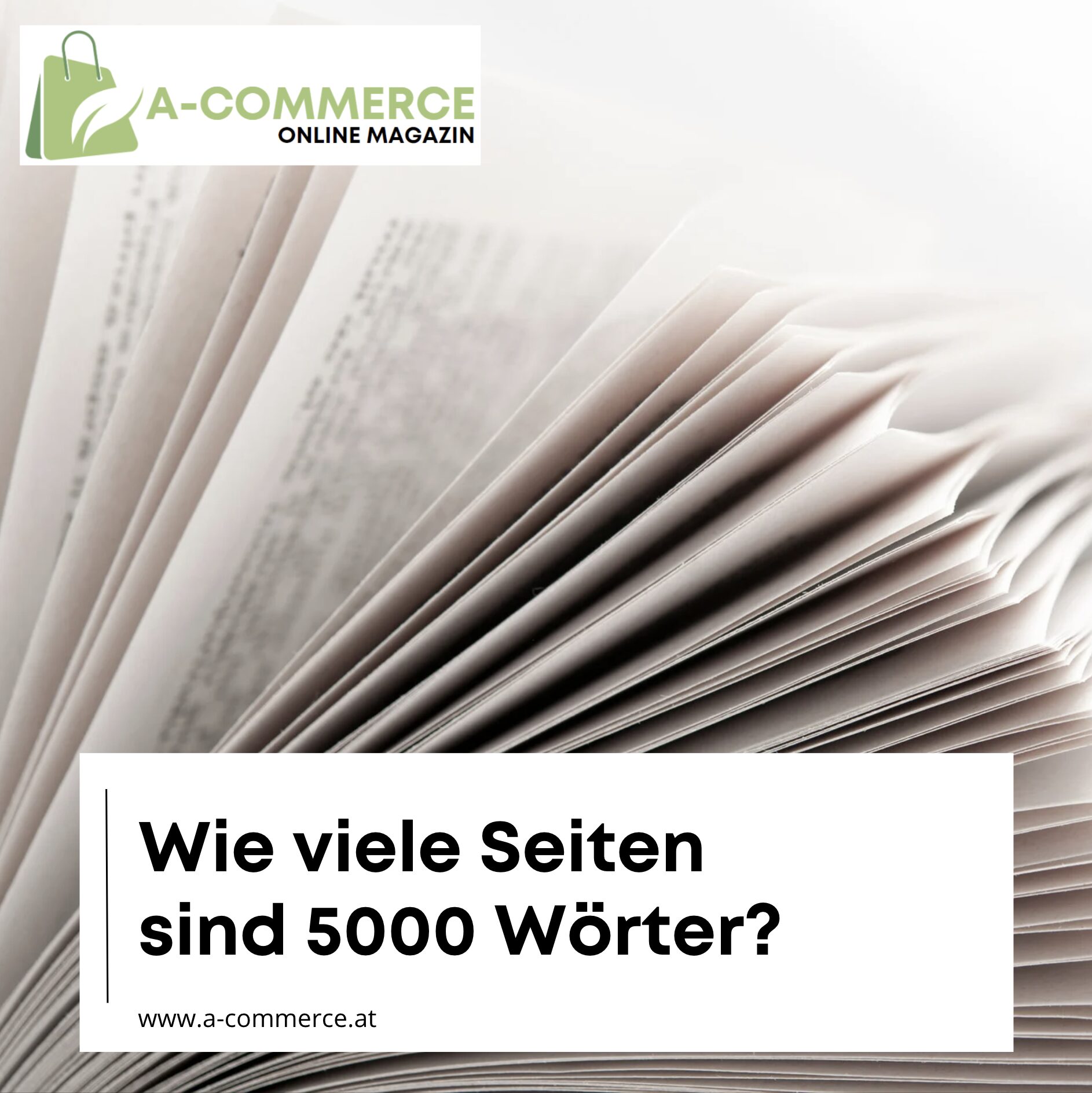 Wie viele Seiten sind 5000 Wörter? Wie viele Seiten sind 5000 Wörter?