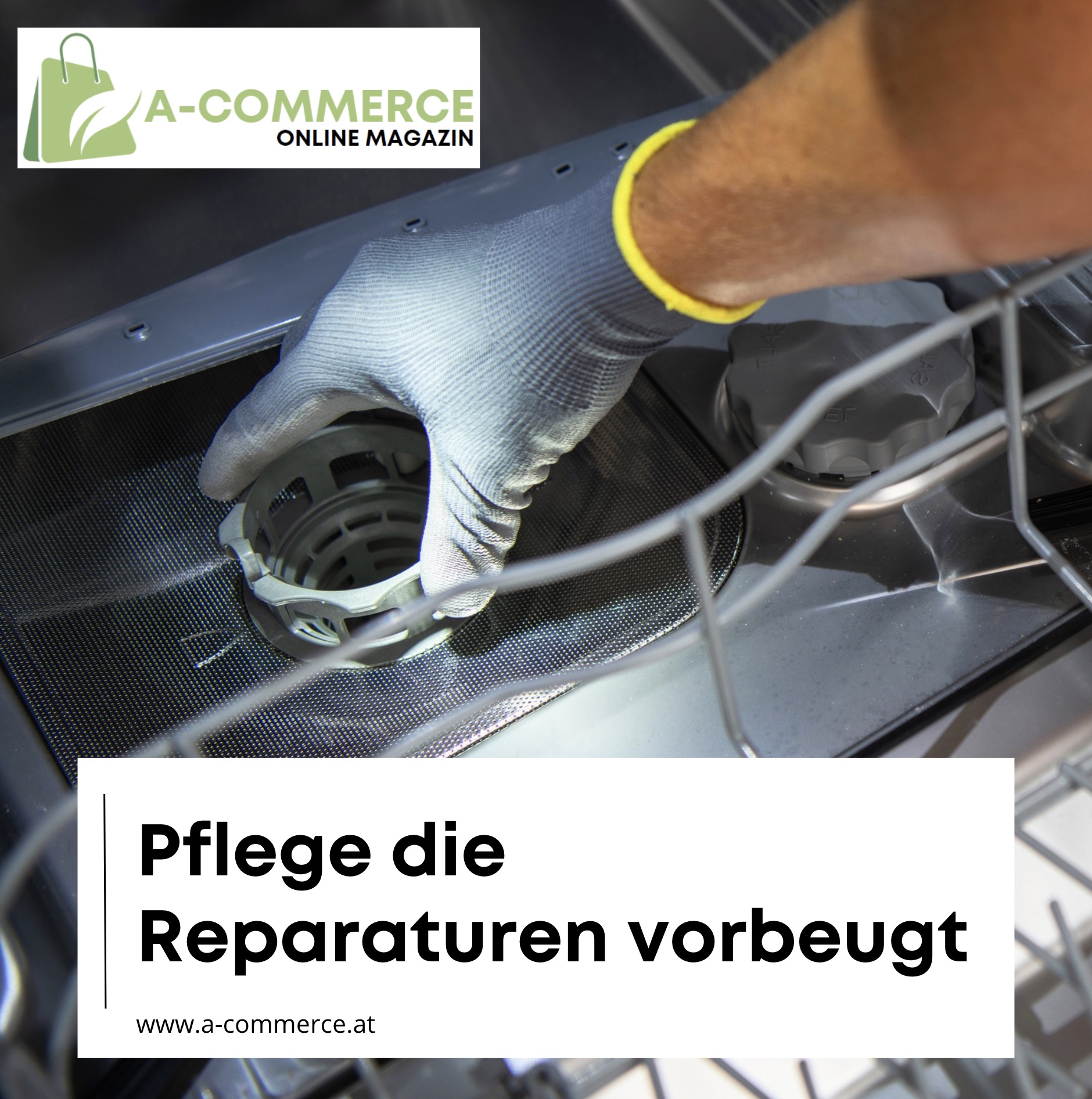 Pflege die Reparaturen vorbeugt Pflege die Reparaturen vorbeugt